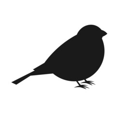 Wall Mural - bullfinch bird silhouette shape icon.
