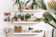 © Tatyana - Bright authentic home interior.Shelves with indoor plants and decor.Home gardening,urban jungle,biophilic design.Selective focus.