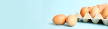 Fresh Raw Chicken Eggs On Light Blue Background, Space For Text. Banner Design