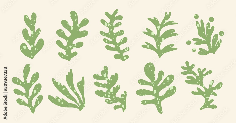 Set of hand drawn exotic jungle leaves, flowers and plants. Abstract ...