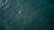 Aerial view of the ocean and surfer man. Surfing in Midigama. Sri Lanka