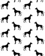 Vector seamless pattern of hand drawn great dane dog silhouette isolated on white background