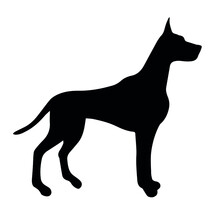 Vector Hand Drawn Great Dane Dog Silhouette Isolated On White Background