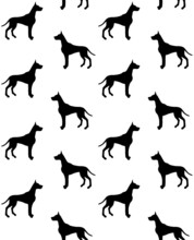 Vector Seamless Pattern Of Hand Drawn Great Dane Dog Silhouette Isolated On White Background