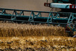the millstones of a powerful combine harvester cut and harvest wheat with large blades and raise heavy dust