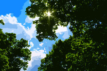 Illustration Of Tree Branches Against The Background Of The Sun And Blue Sky