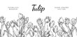 Tulip flowers seamless border, hand drawn sketch vector illustration on white background.