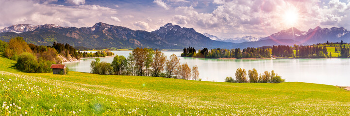 Poster - beatiful panoramic landscape with meadow and trees