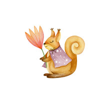 Cute Squirrel Watercolor Illustration Isolated On White Background.