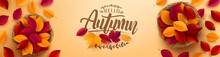 Autumn Poster And Banner Template.Top View Of Basket With Autumn Colorful Leaves On Yellow Background.Greetings And Presents For Autumn Season.Promotion Template For Autumn Or Fall Concept