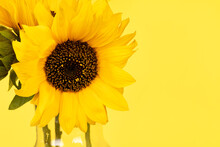 Bouquet Of Yellow Sunflowers In A Glass Vase Closeup