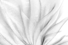 Closeup Of The Wavy White Organza Fabric