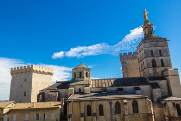 Canvas Print - Cathedral and Papal palace in Avignon