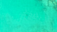 2021:CABO PULMO BCS MEXICO.Drone Footage Of Shark In Ocean