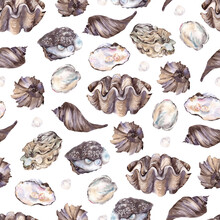 Seamless Pattern With Watercolor Hand Draw Sea Shell, Coral And White Flowers, Isolated On White Background. Underwater Collection.