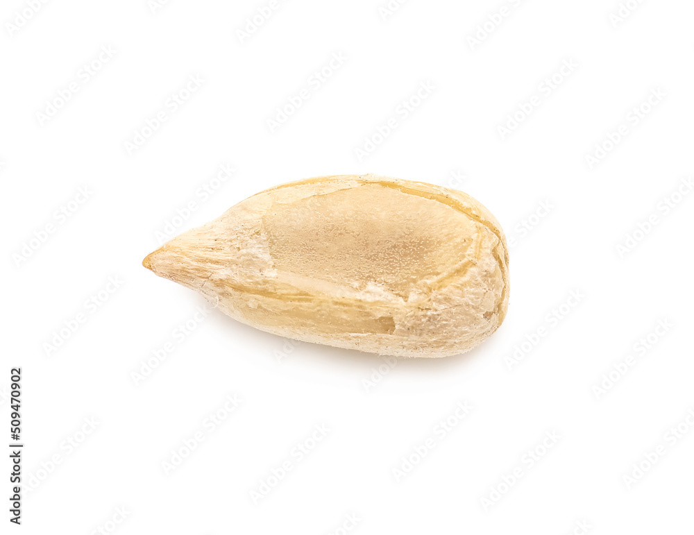 Peeled sunflower seed on white background, top view