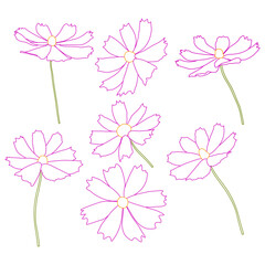 Wall Mural - Set of cosmos flower branch vector simple illustration isolated on white background. Outline hand drawn colored version. Floral vector for childrens illustration, summer design.
