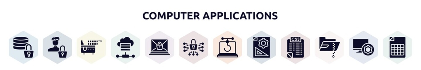 Poster - computer applications filled icons set. glyph icons such as data encryption, authentication, electric fryer, online server, ransomware, cyber security, phishing, prototyping, compressed file