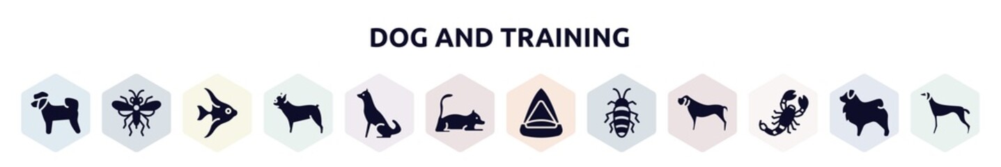 dog and training filled icons set. glyph icons such as bichon, sawfly, angelfish, french bulldog, akitas, laying cat, cat playhouse, madagascan, scorpio icon.