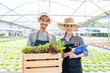 © Kawee - Portrait of Asian farmers couple work in vegetables hydroponic farm.