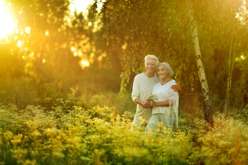 Sticker - happy senior couple standing  in summer park