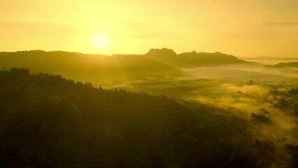 Wall Mural - aerial view 4k animated video. beautiful morning view of high mountain fog due to fresh air after ra