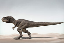 3d Illustration Of Young Tyrannosaurus Rex With Desert Background 