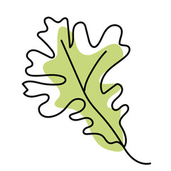 Leaves of bur oak tree isolated on white background. Leaves in linear art with the addition of colored spots. Vector illustration.