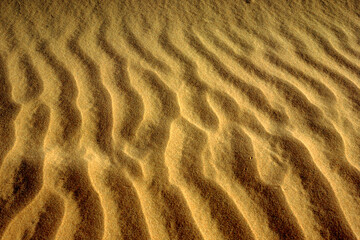  sand, desert, beach, texture, pattern, dune, nature, abstract, wave, dry, sea, ripple, wind, brown, sandy, summer, textured, yellow, ripples, coast, dunes, rippled, hot, waves, sahara, sandridge