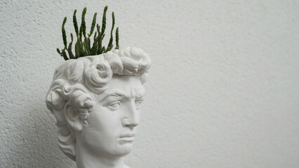 Gypsum pot with a houseplant in the shape of an antique man's head. 