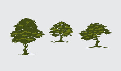 Poster - SET of tree of Oak logo vector design on white background and three huge isolated tree icon illustration templates