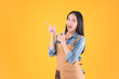© Png - Video - Photo - pretty asian female smile coffee freelancer own coffee bar shop hold coffee paper cup and payment with a credit card through terminal money swiping a credit card in her own shop yellow background.