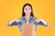 © Png - Video - Photo - pretty asian female smile in apron freelancer small business and startup concept. asian woman open shop pointing finger with apron yellow background.