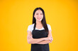 © Png - Video - Photo - pretty asian female smile wearing black apron show and present pointing fingers copy space for your advertisement yellow background.