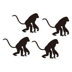 Wall Mural - monkey set icon vector illustration symbol