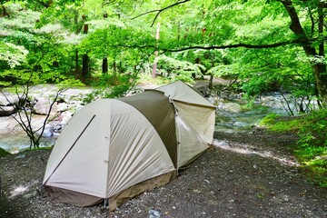Wall Mural - tent in the forest