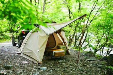 Wall Mural - camping in the forest