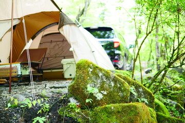 Wall Mural - tent in the forest