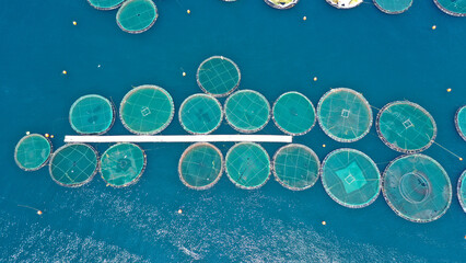 Aerial drone photo of sea bass and sea bream fishery or fish farming unit in Mediterranean calm deep blue sea