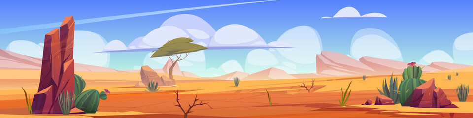 hot desert landscape with sand, cactuses, rocks, acacia tree and grass. vector cartoon illustration 