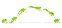 Funny Jumping Frog. Character For Animation, Stop Motion Shots.