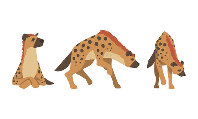 Wall Mural - Hyena as Carnivore Mammal with Spotted Coat and Rounded Ears Sitting and Standing Vector Set