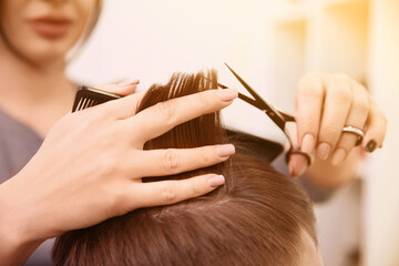 Wall Mural - Professional female hairdresser working with client in salon