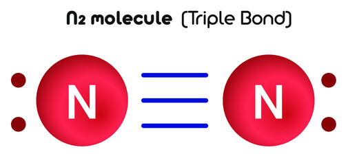 N2 molecule: Least stable type of covalent bonds.