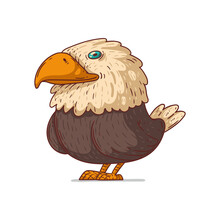 A Bald Eagle, Isolated Vector Illustration. Cute Cartoon Picture Of A Lovely Eagle Standing On The Ground. A Bird Sticker. Simple Eagle Drawing On White Background. American Mascot. USA Symbol.