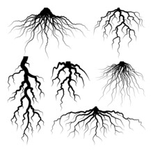 Various Realistic Tree Or Shrub Roots. Parts Of Plant, Root System With Tree Stump. Dendrology, Study Of Woody Plants. Sketch Drawing. Vector Illustration