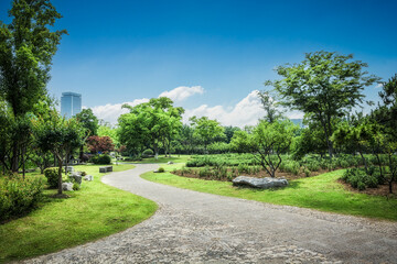 nice green forest landscape in the city