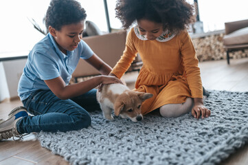 Wall Mural - Kids and the dog playing together on the floor