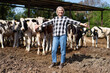 © JENOCHE - mature woman worker at cow livestock farmers on the background of cows
