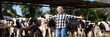 © JENOCHE - mature woman worker at cow livestock farmers on the background of cows